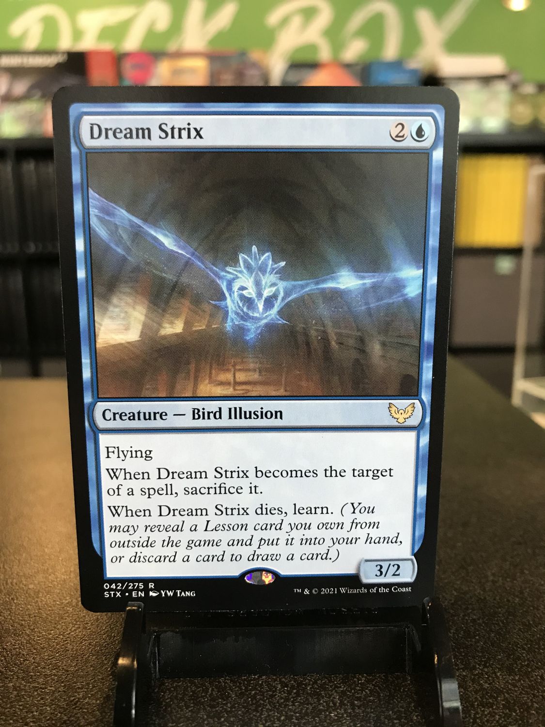 Dream Strix  (STX)