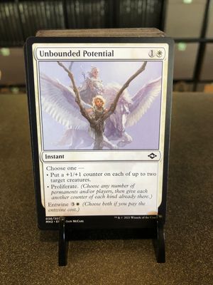 Unbounded Potential  (MH2)