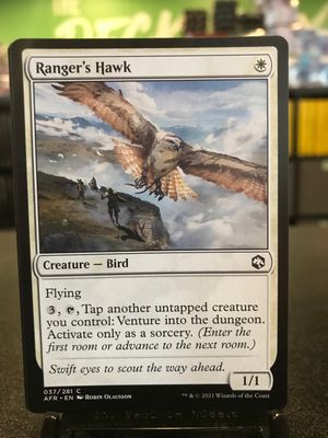 Ranger's Hawk  (AFR)