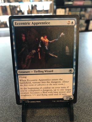Eccentric Apprentice  (AFR)