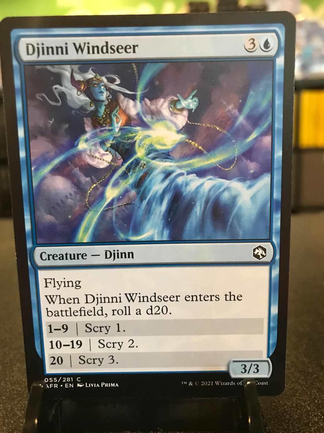 Djinni Windseer  (AFR)