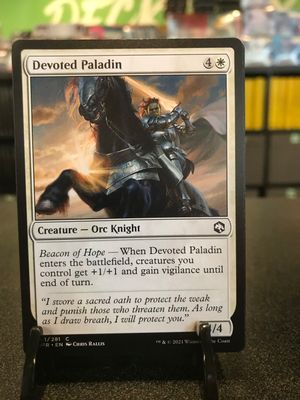 Devoted Paladin  (AFR)