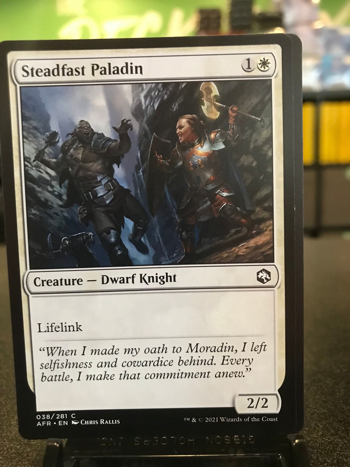 Steadfast Paladin  (AFR)