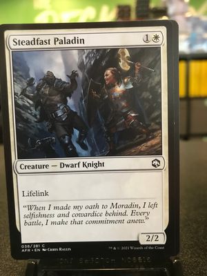 Steadfast Paladin  (AFR)