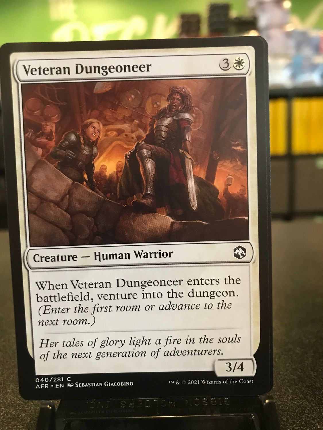 Veteran Dungeoneer  (AFR)