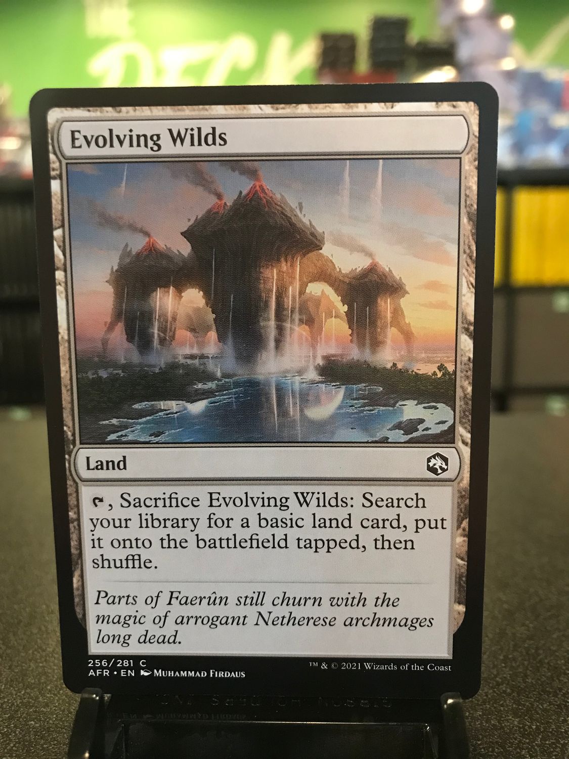 Evolving Wilds  (AFR)