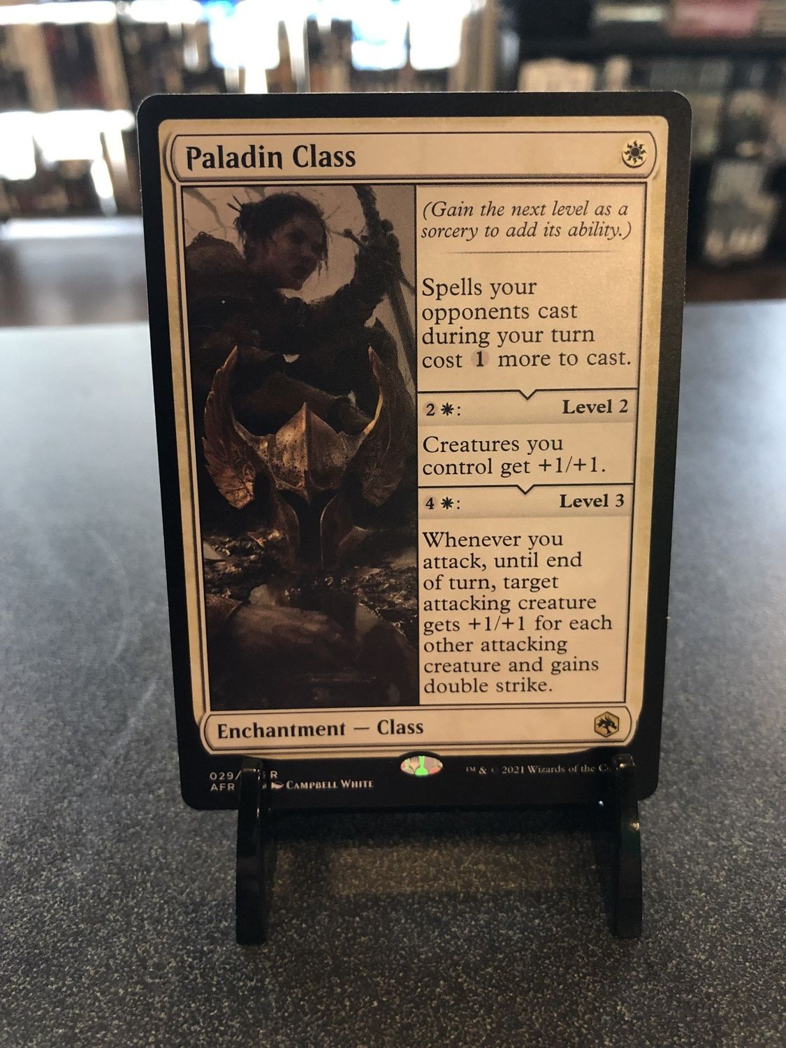 Paladin Class  (AFR)