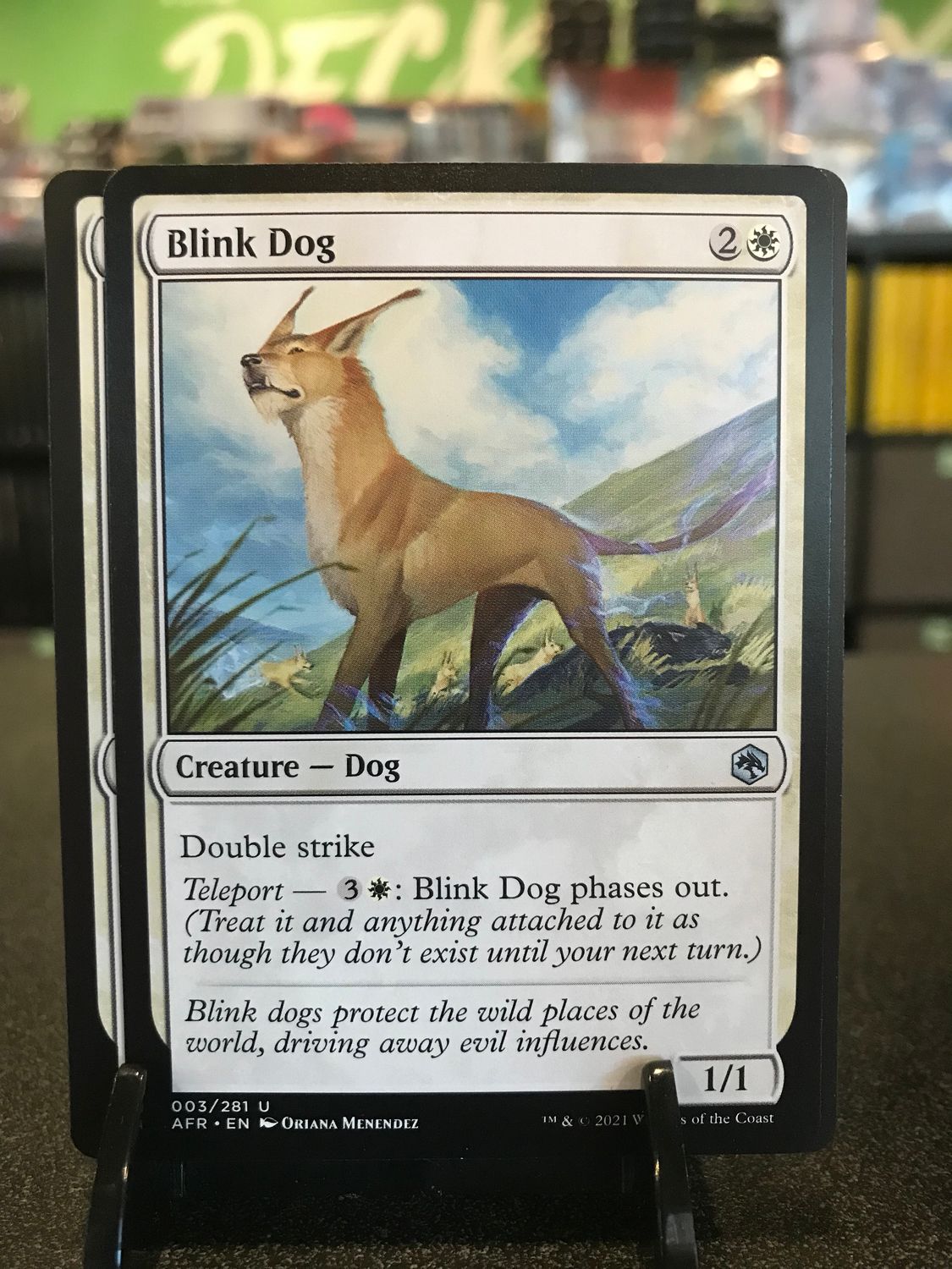 Blink Dog  (AFR)