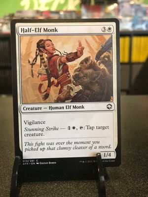 Half-Elf Monk  (AFR)