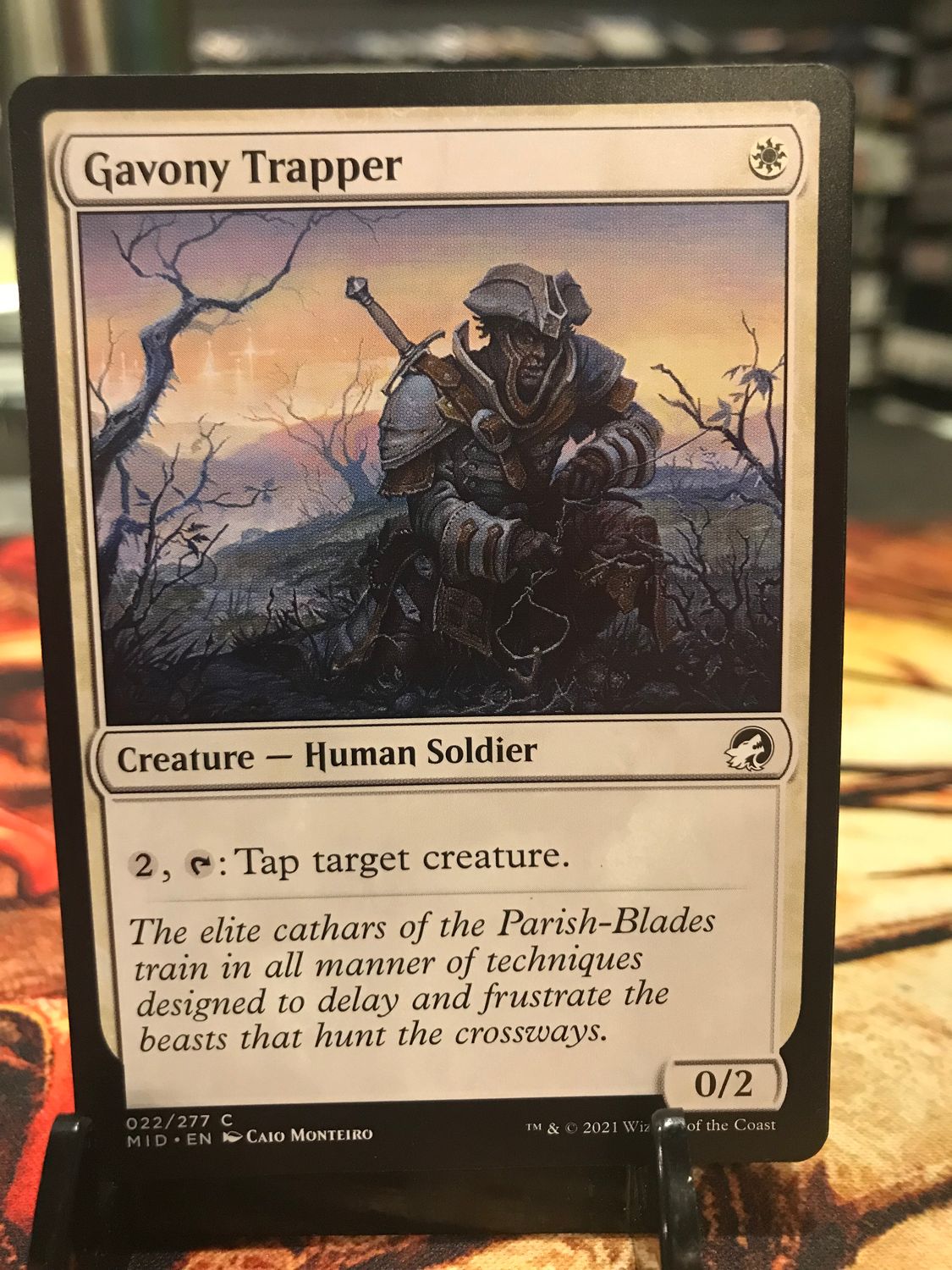 Gavony Trapper  (MID)