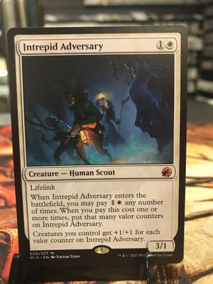 Intrepid Adversary  (MID)