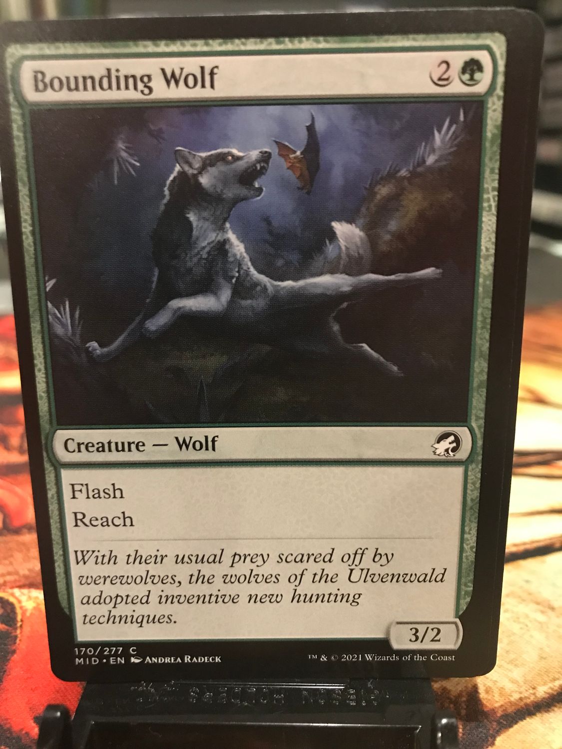 Bounding Wolf  (MID)