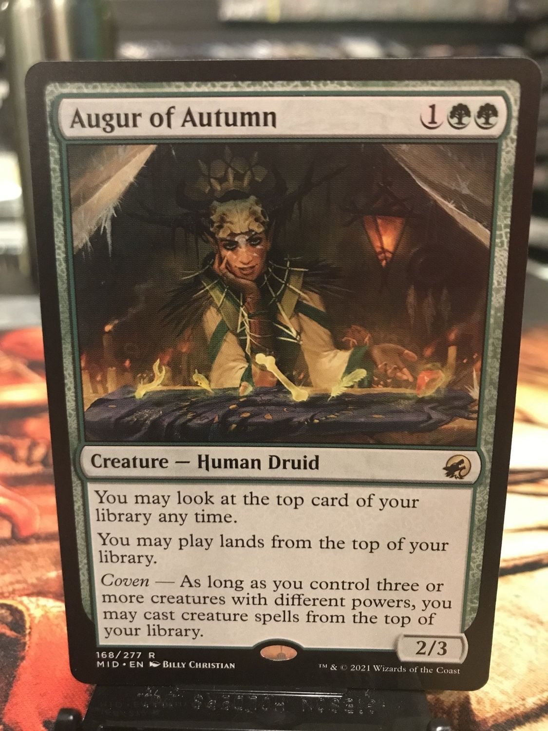 Augur of Autumn  (MID)