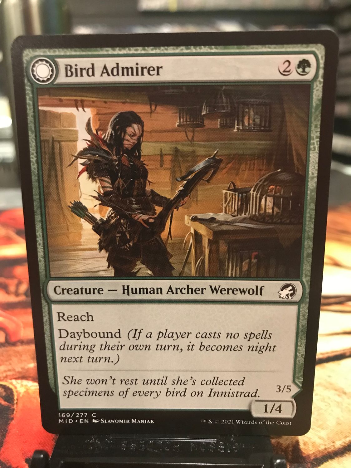 Bird Admirer // Wing Shredder  (MID)