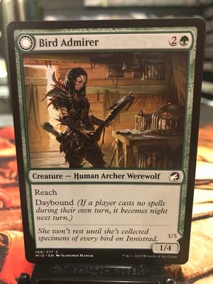 Bird Admirer // Wing Shredder  (MID)