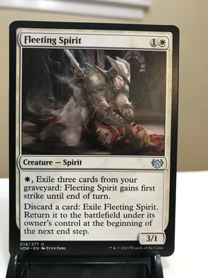 Fleeting Spirit  (VOW)