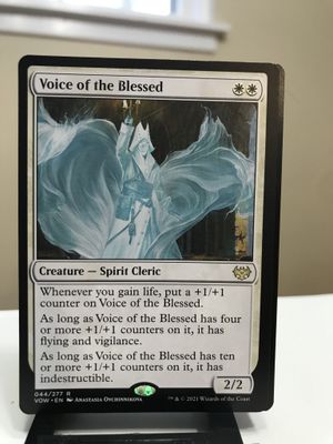Voice of the Blessed  (VOW)