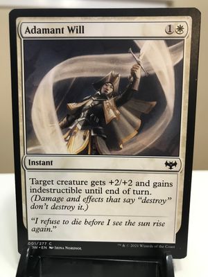 Adamant Will  (VOW)