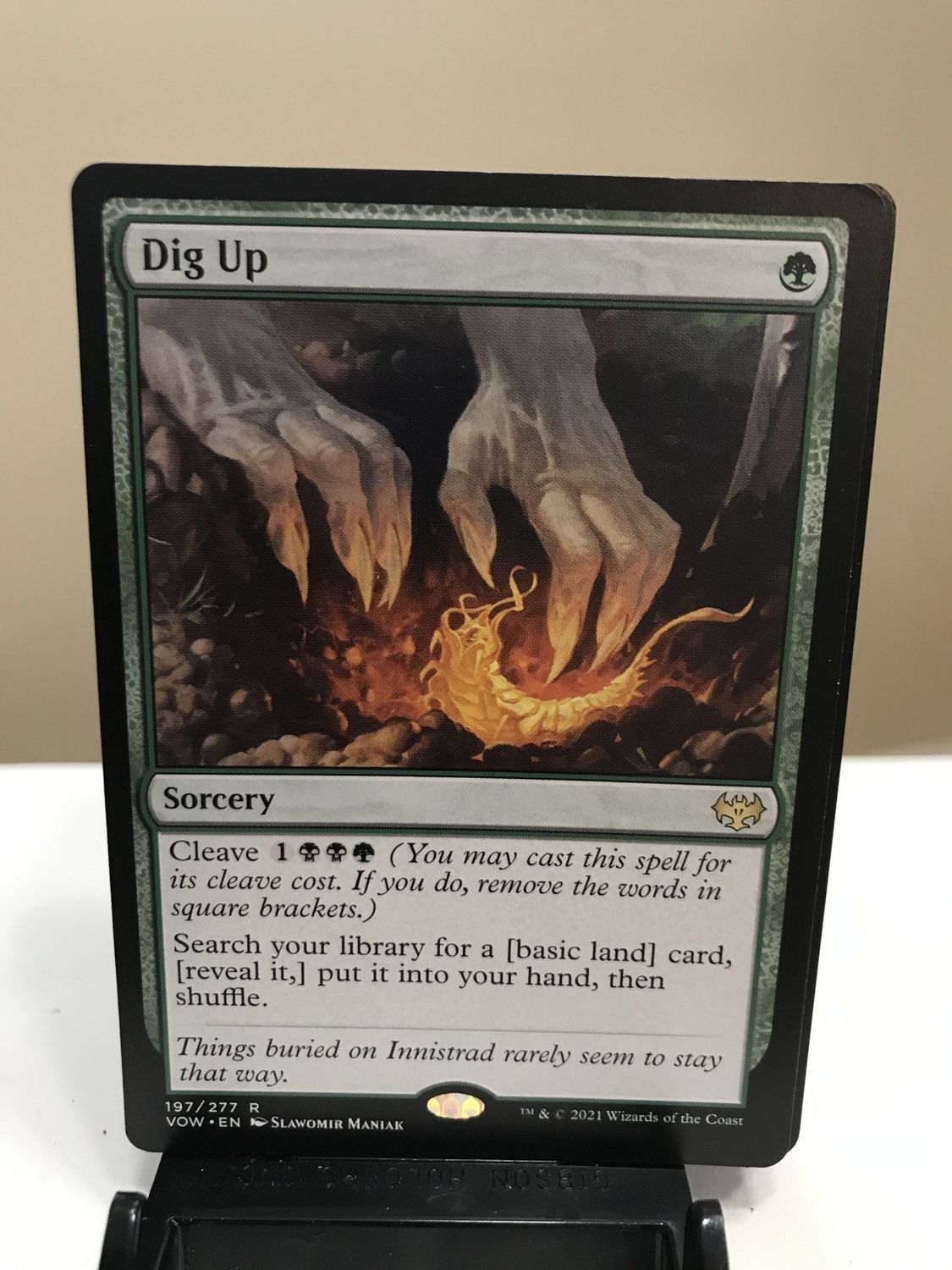 Dig Up  (VOW)