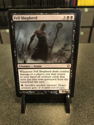 Fell Shepherd  (C13)