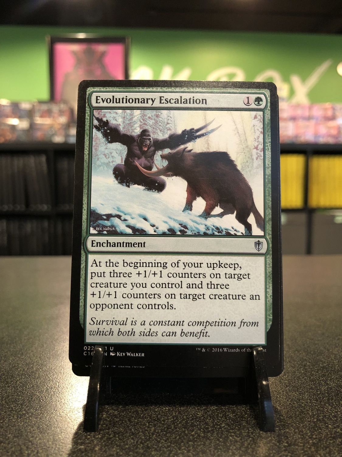 Evolutionary Escalation  (C16)