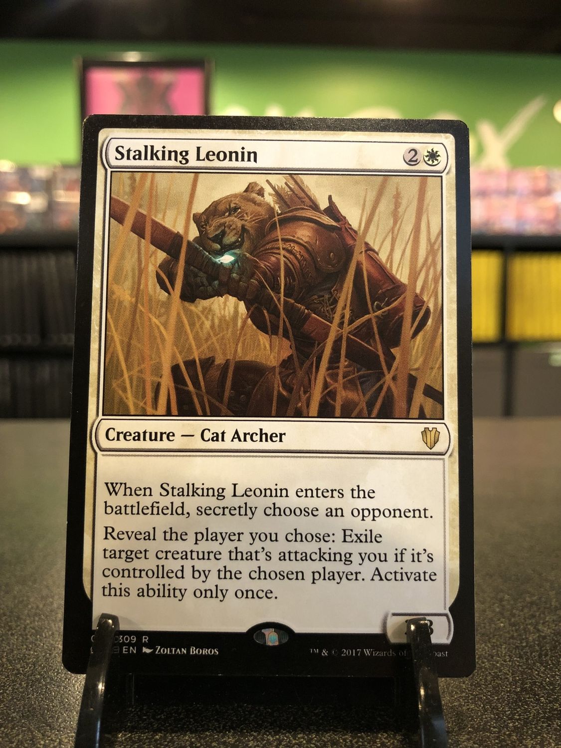 Stalking Leonin  (C17)
