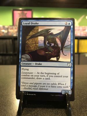 Loyal Drake  (C18)