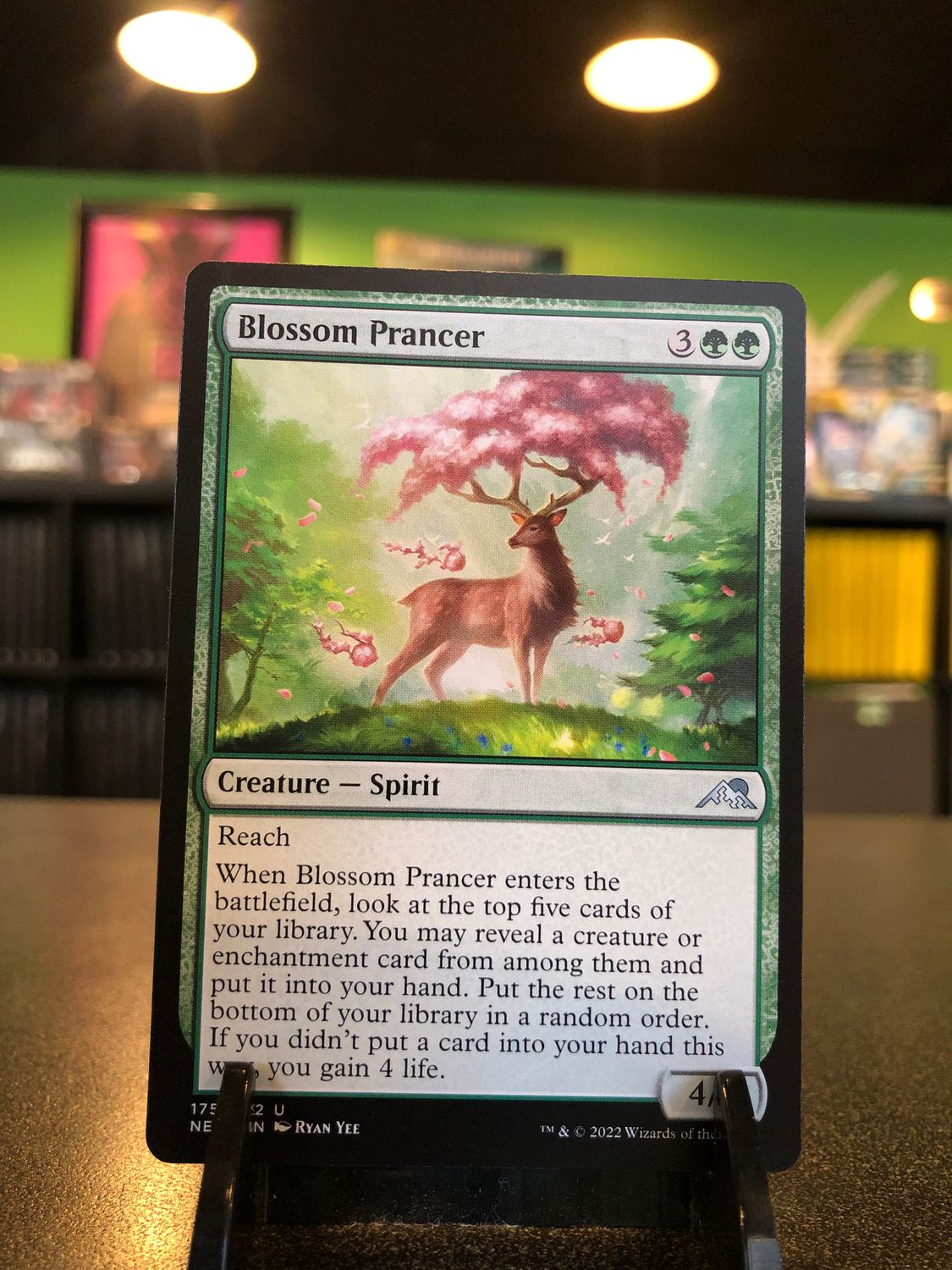 Blossom Prancer  (NEO)