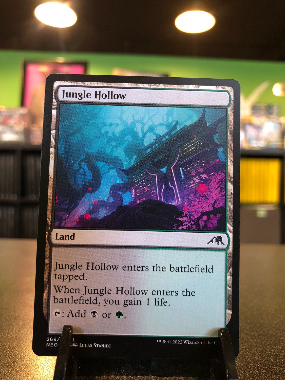 Jungle Hollow  (NEO)