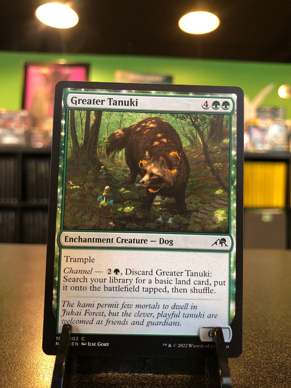 Greater Tanuki  (NEO)