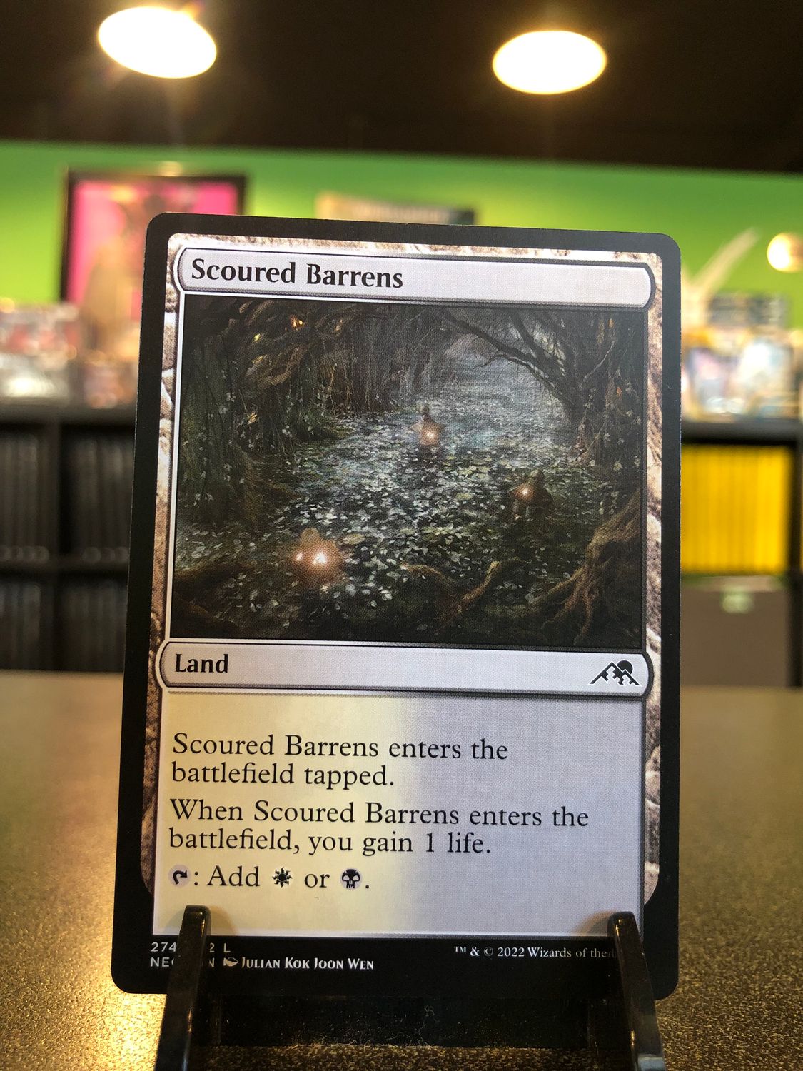 Scoured Barrens  (NEO)