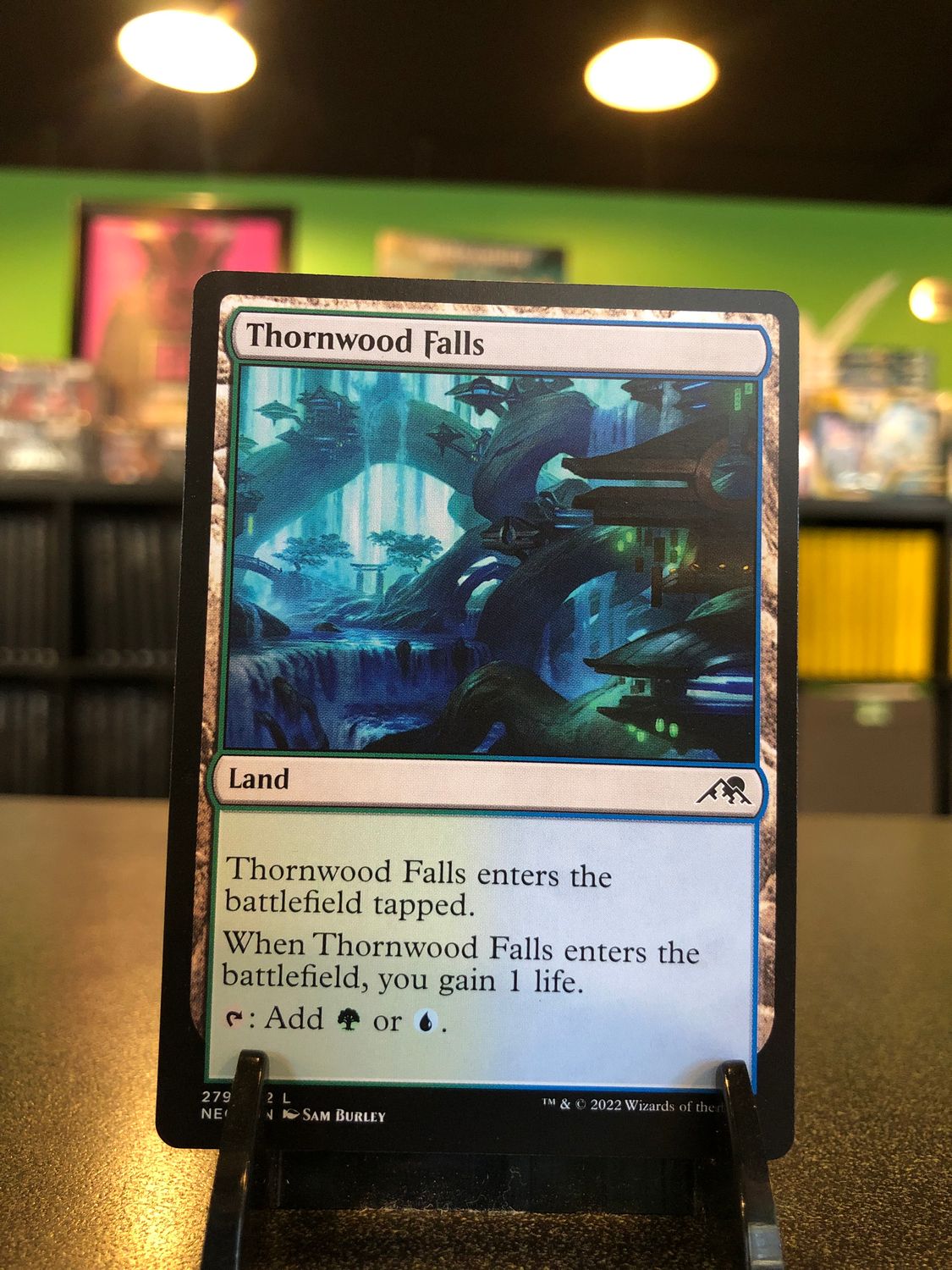 Thornwood Falls  (NEO)
