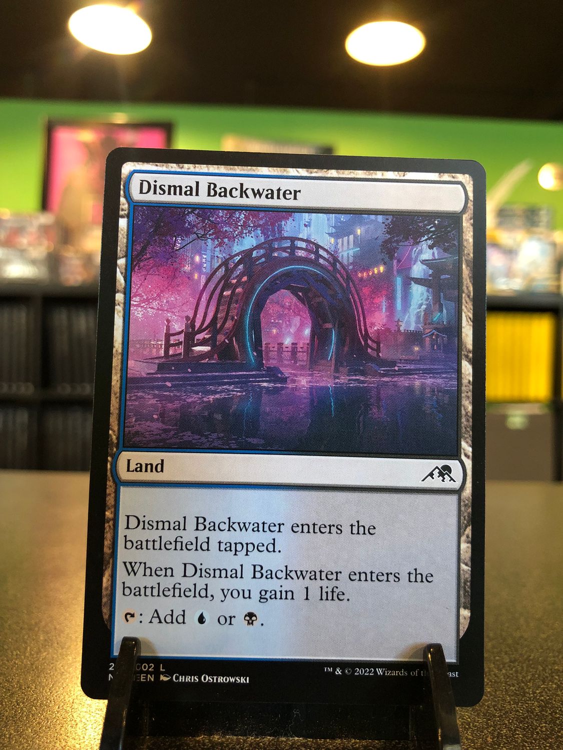 Dismal Backwater  (NEO)