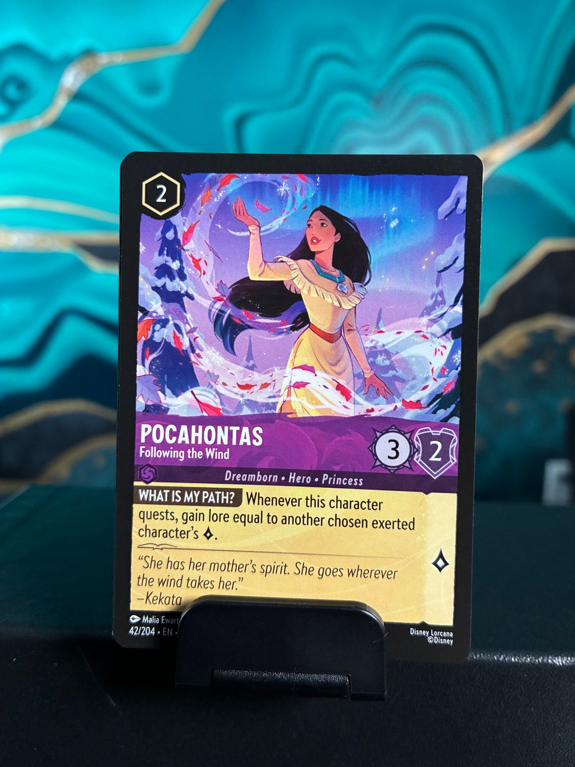 Pocahontas - Following the Wind  42  (WNS)