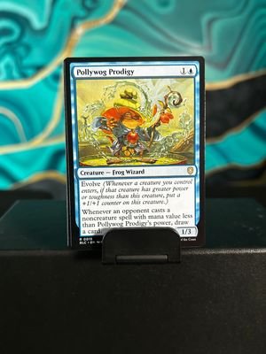 Pollywog Prodigy  (BLC)
