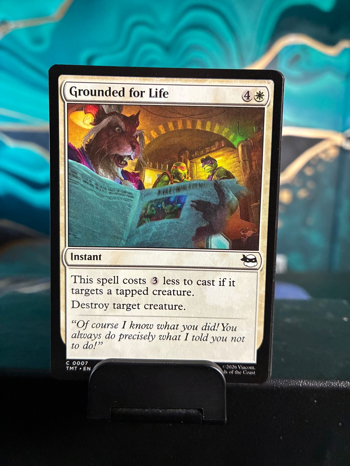 Grounded for Life  (TMT)