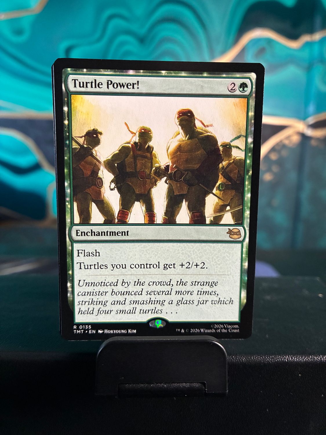 Turtle Power!  (TMT)