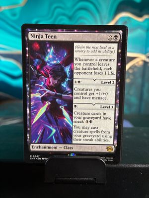 Ninja Teen  (TMT)