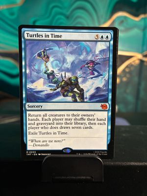 Turtles in Time  (TMT)