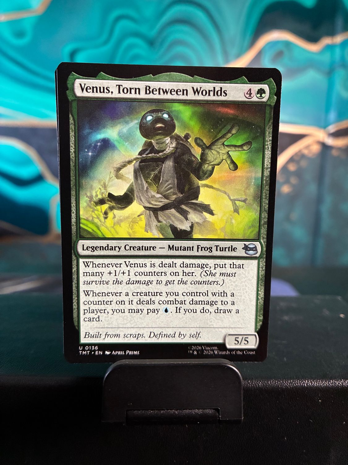Venus, Torn Between Worlds  (TMT)