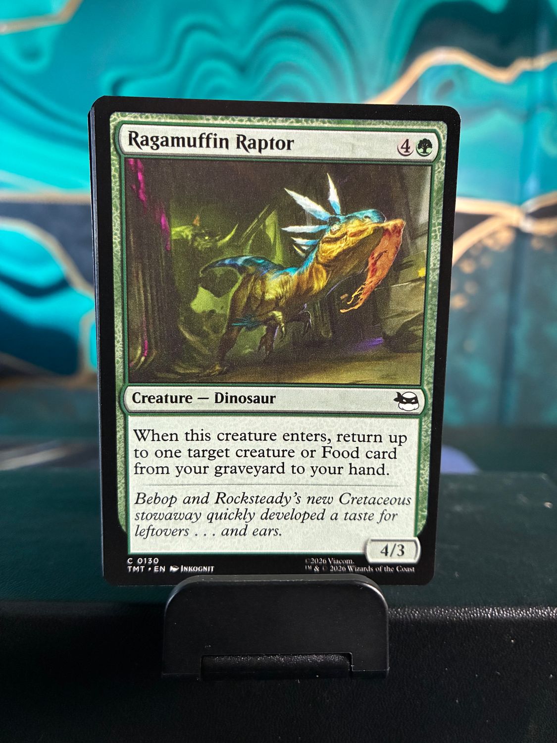 Ragamuffin Raptor  (TMT)
