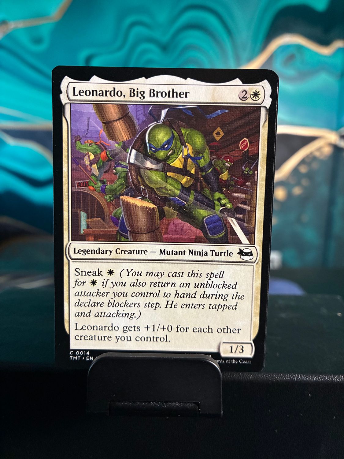 Leonardo, Big Brother  (TMT)