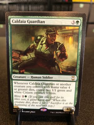 Caldaia Guardian (NCC)