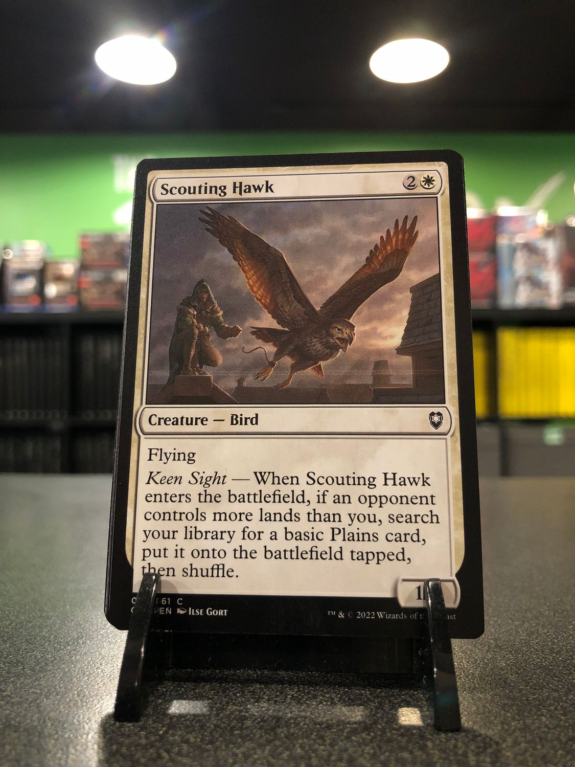 Scouting Hawk  (CLB)