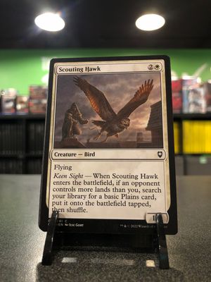 Scouting Hawk  (CLB)