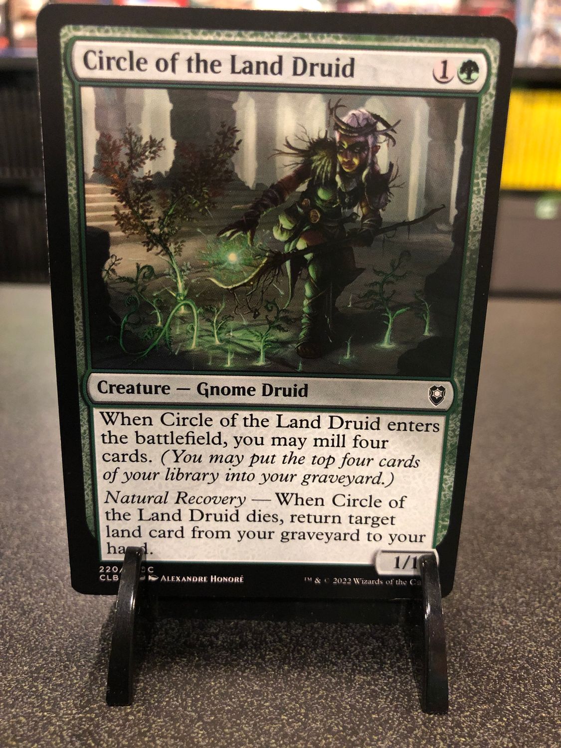 Circle of the Land Druid  (CLB)