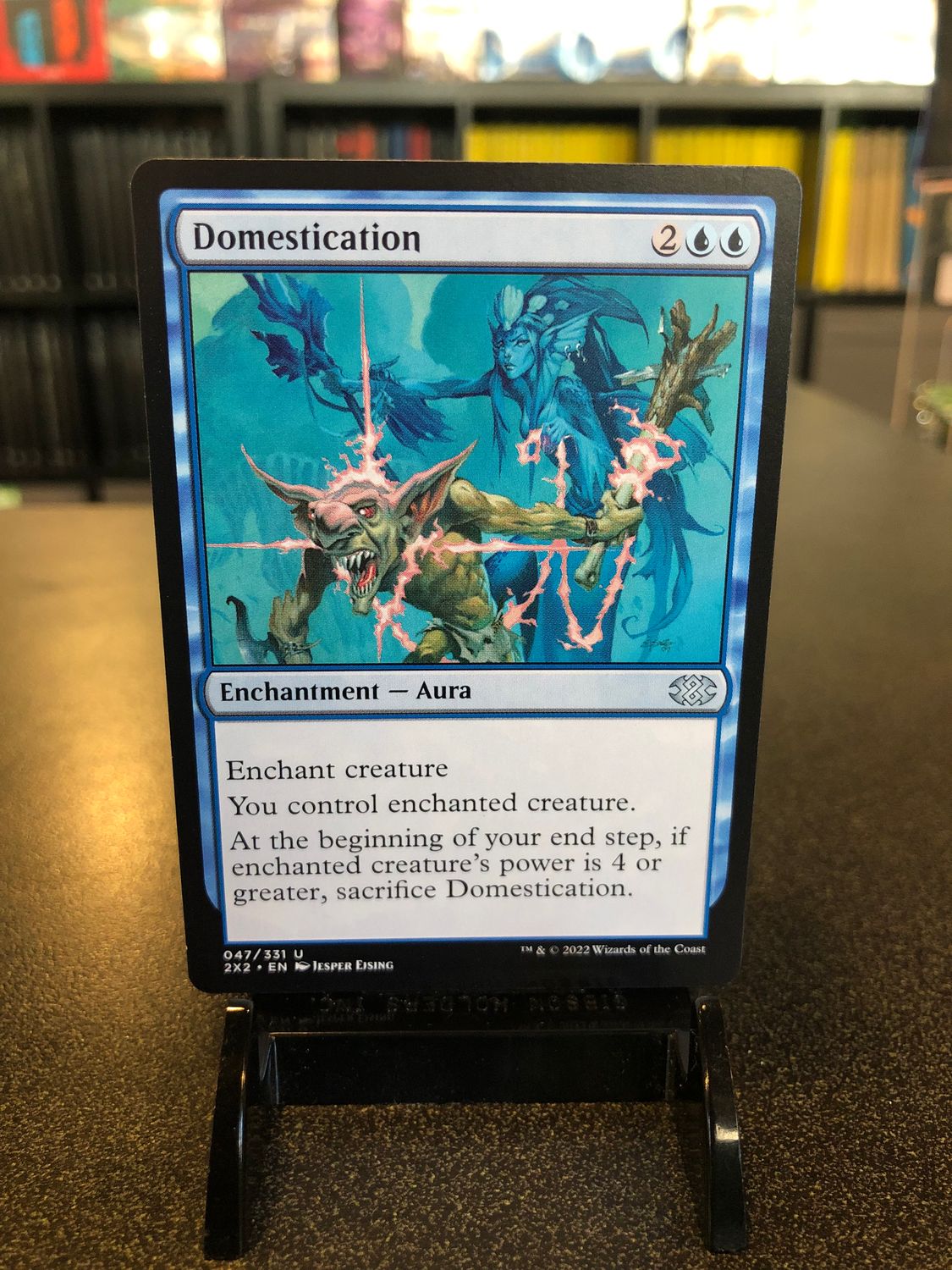 Domestication  (2X2)