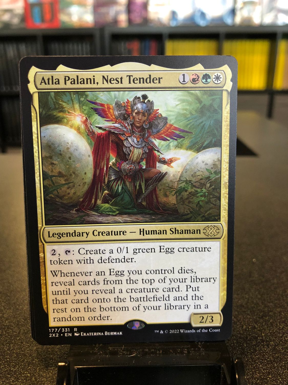 Atla Palani, Nest Tender  (2X2)