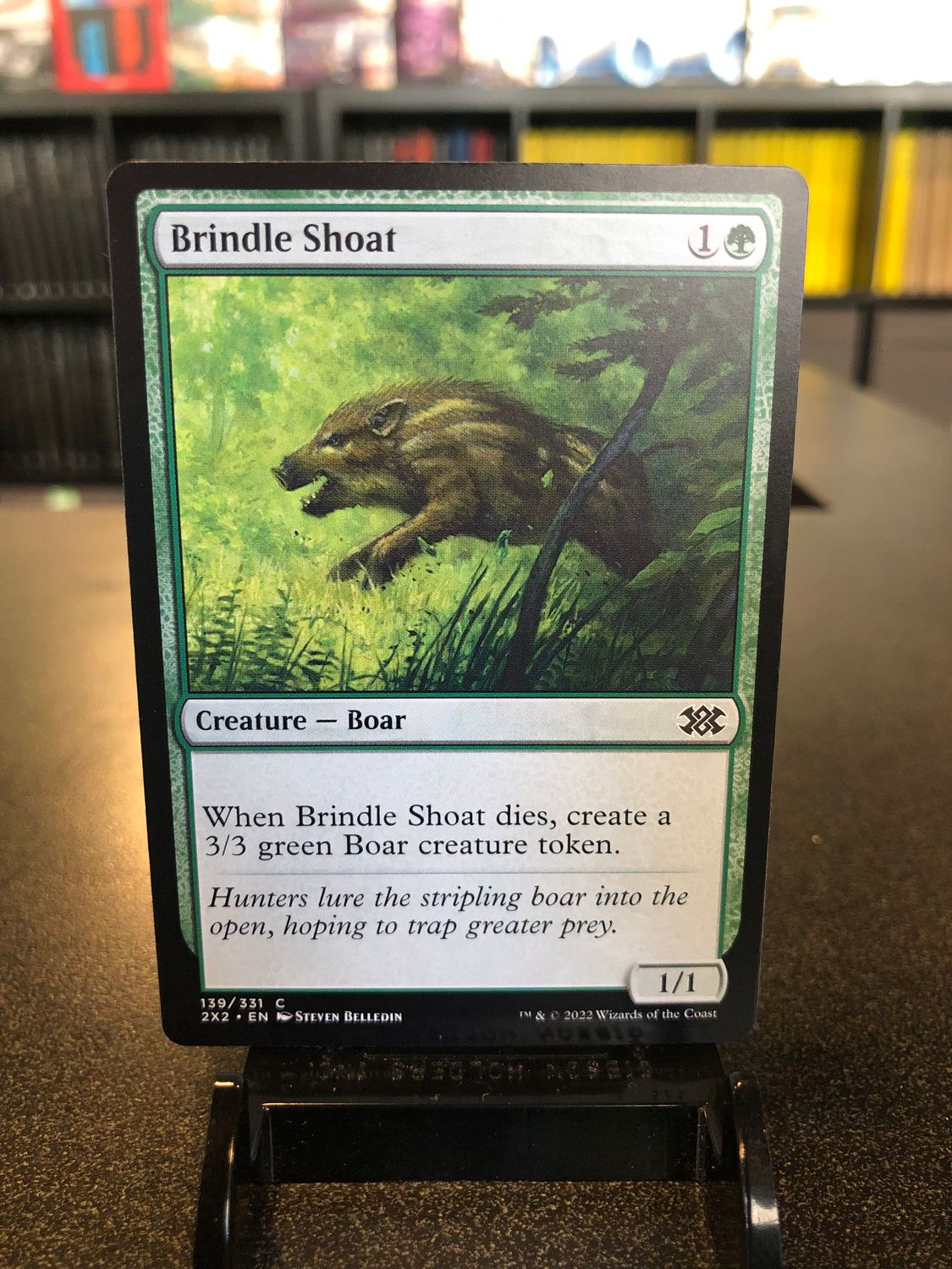 Brindle Shoat  (2X2)