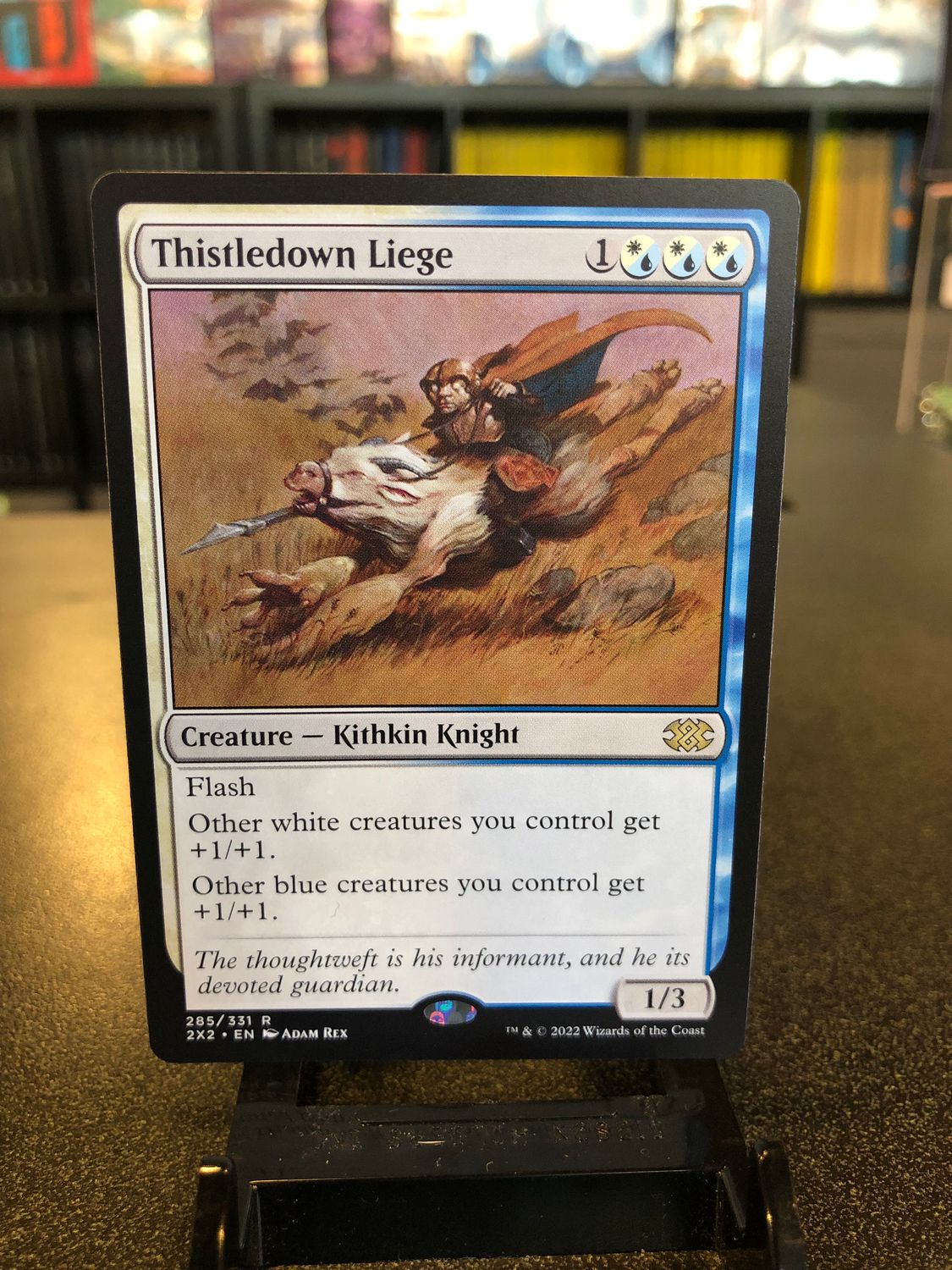 Thistledown Liege  (2X2)